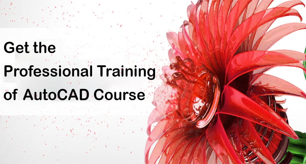 Interior Designing Career : AutoCAD 3D Max Course in Delhi