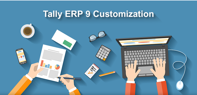 Infographic – Tally.ERP9 Customization Process